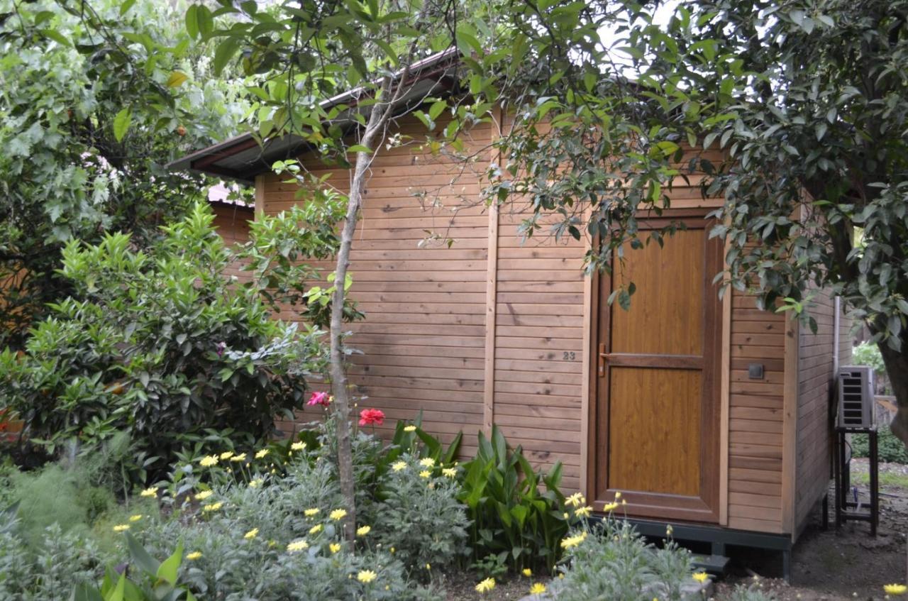 Mercan Pension Olympos Exterior photo