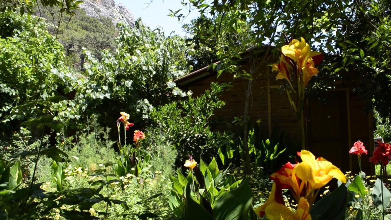 Mercan Pension Olympos Exterior photo